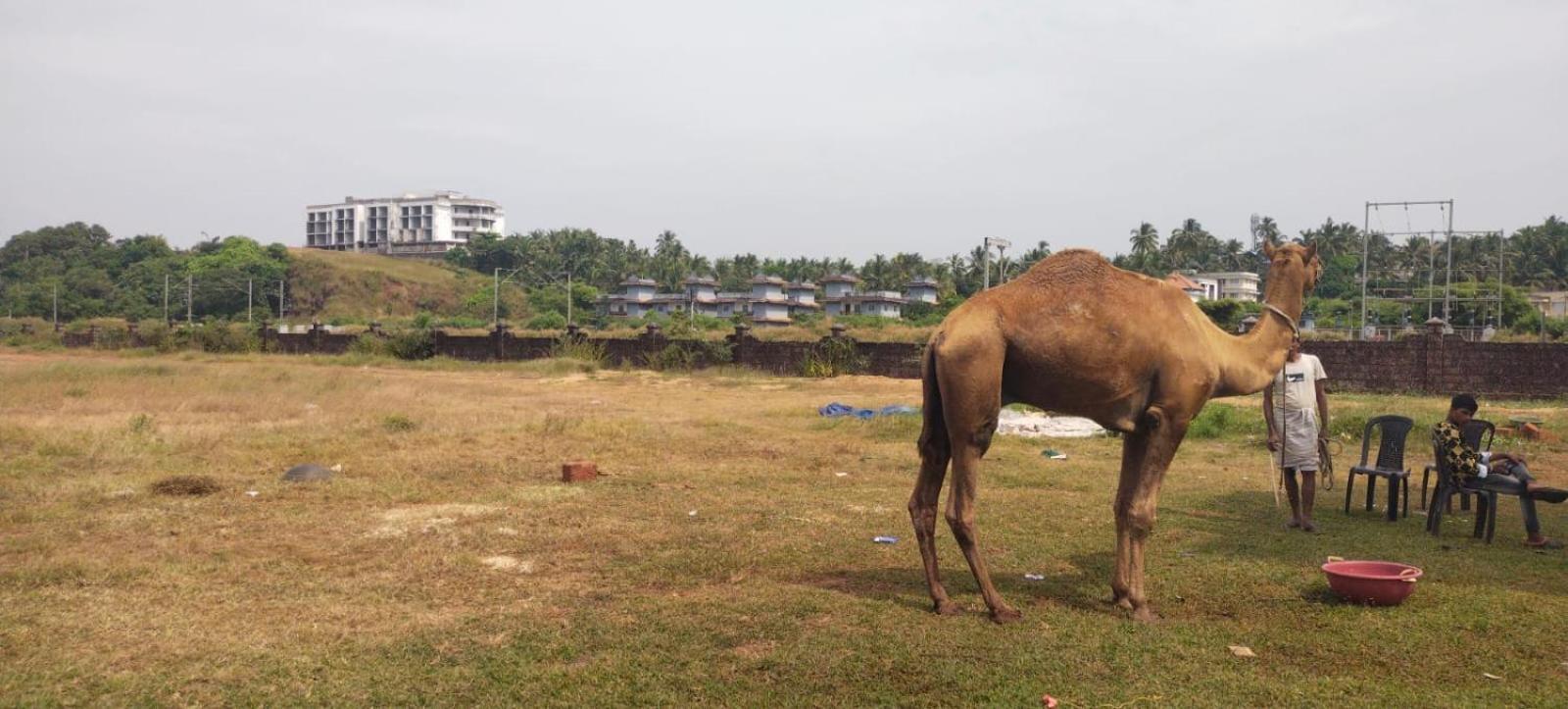 Bekal Fort Beach Resorts Bekal Town Eksteriør billede