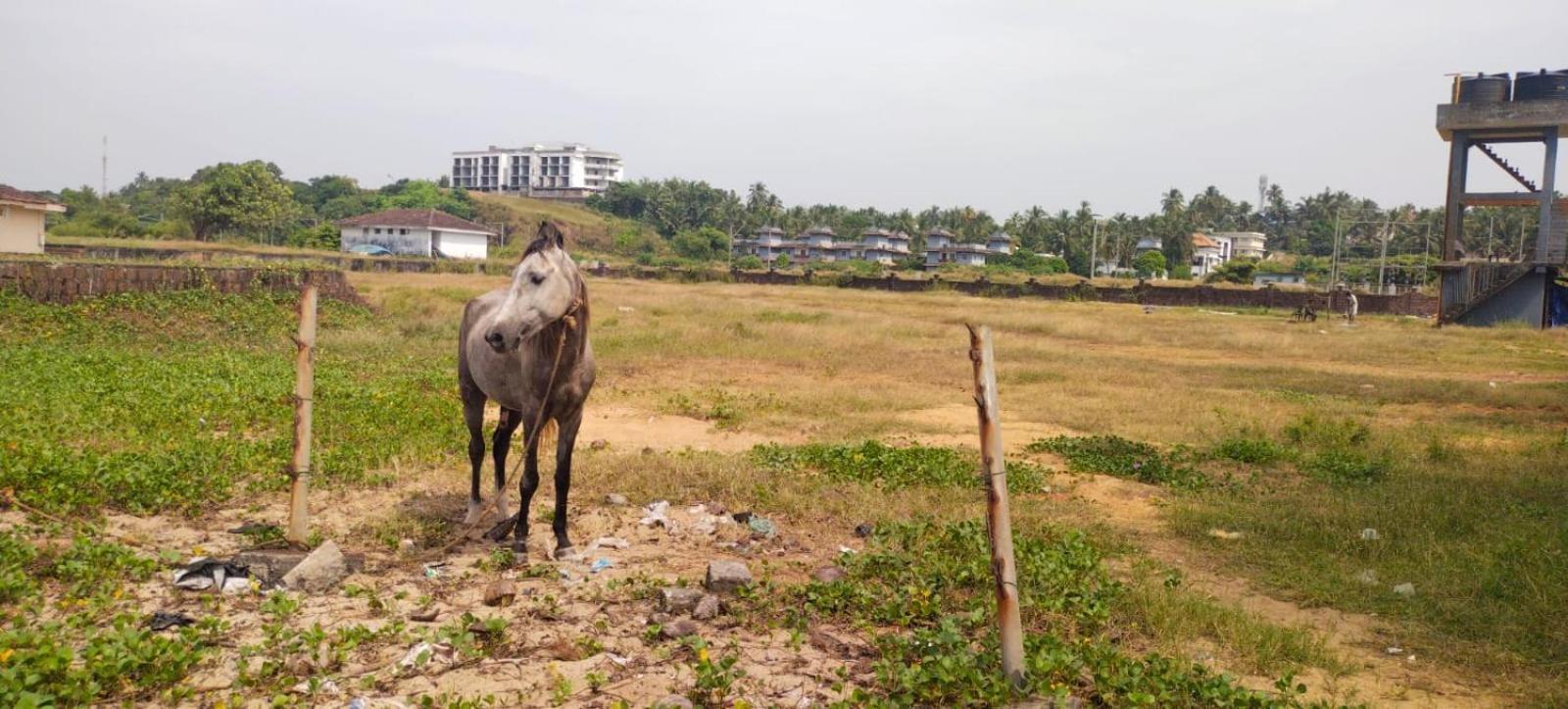 Bekal Fort Beach Resorts Bekal Town Eksteriør billede